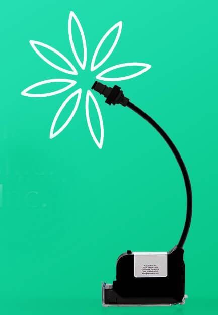 Ink cartridge with flower